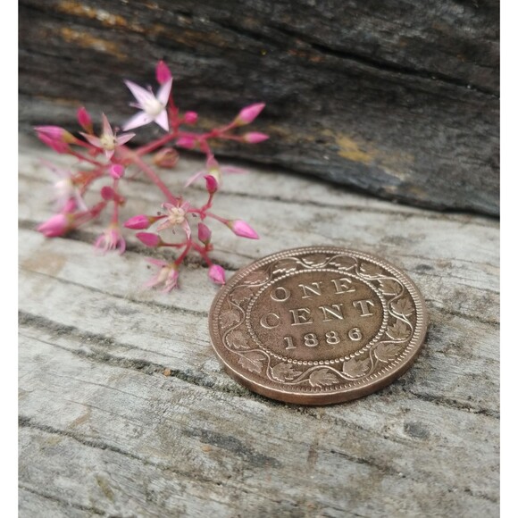 Antique 1886 Canada One Cent Coin, Vintage Queen Victoria Canadian Penny - Picture 3 of 10